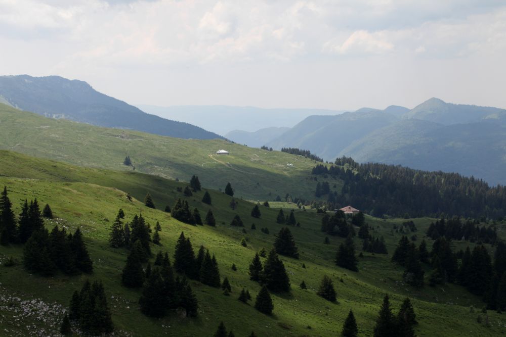 Lieu : Réserve naturelle nationale de la Haute Chaîne du Jura