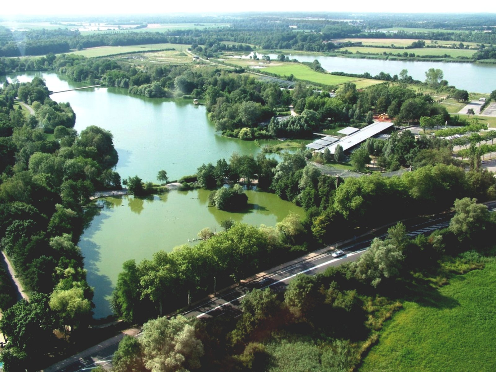 Photo : Réserve départementale de la Dombes