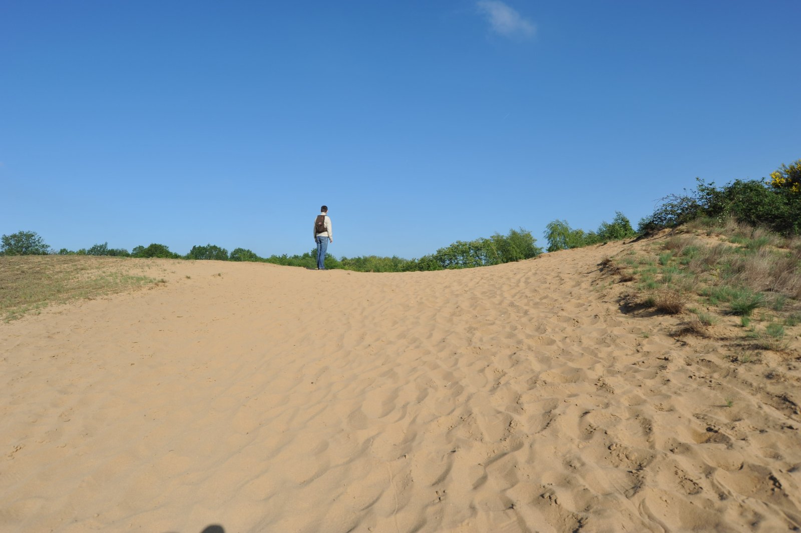 Photo : Site naturel des dunes des Charmes