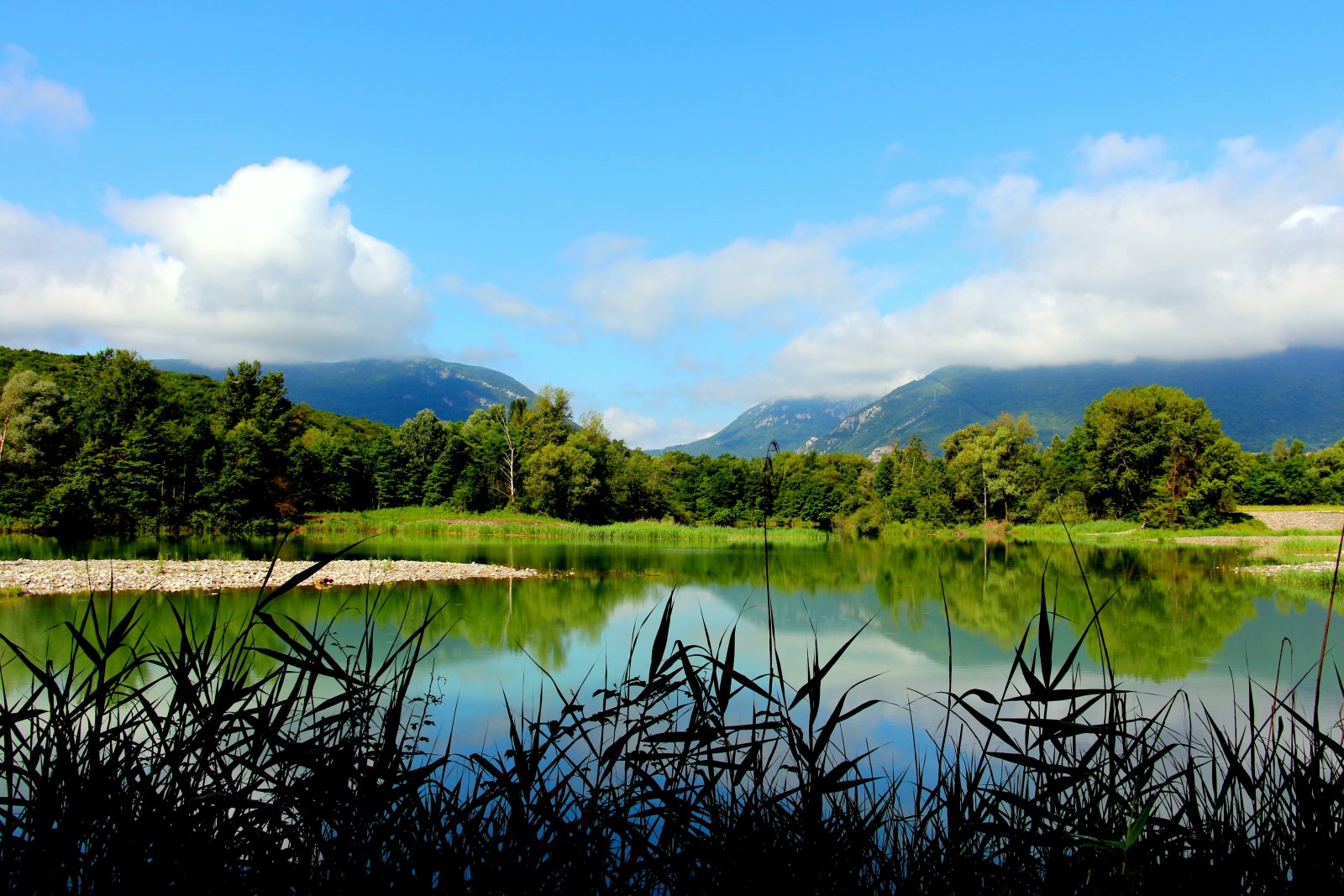 Photo : Marais de l'Etournel