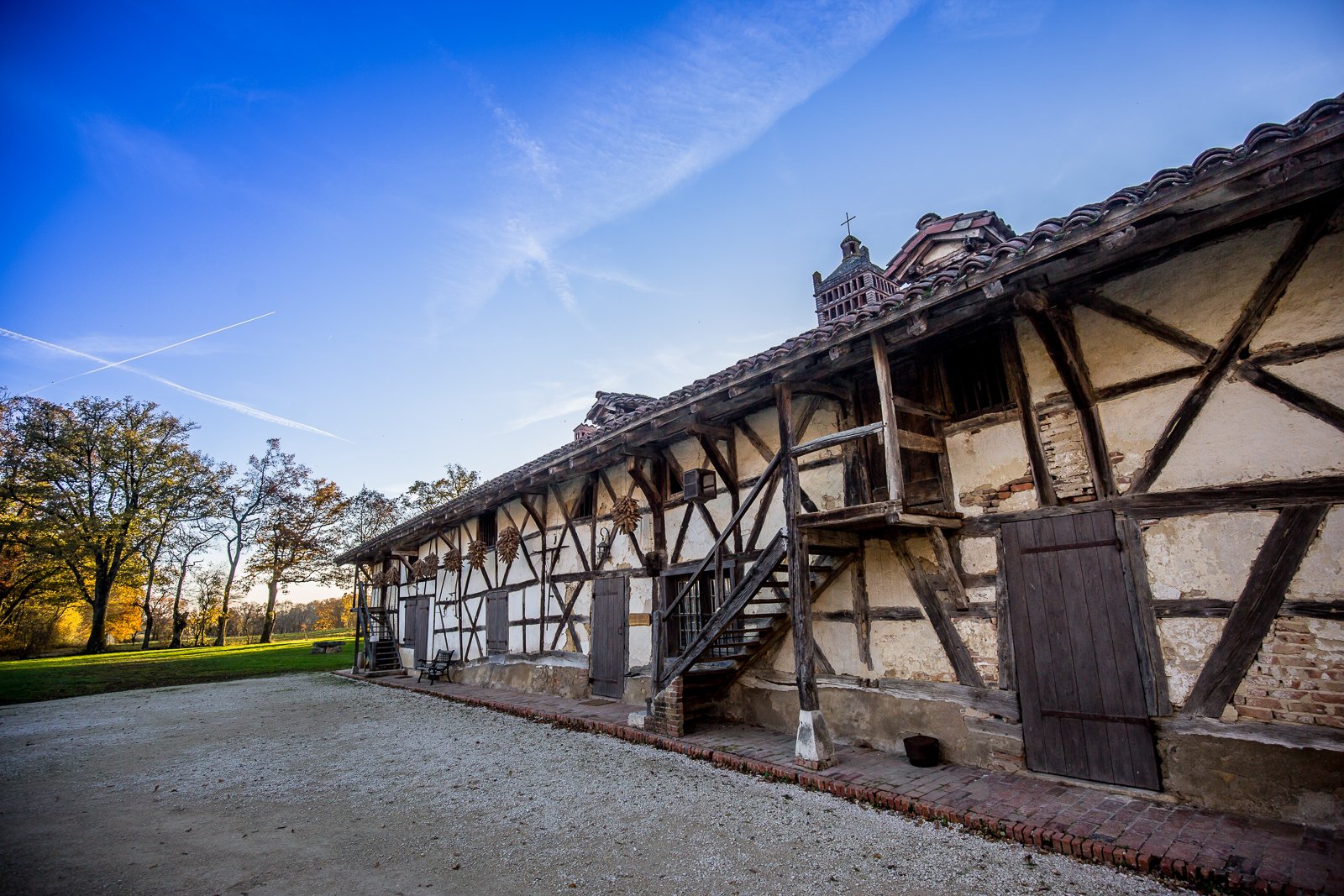 Photo : Bocage bressan du Sougey
