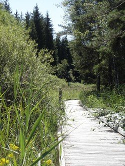 Photo : Marais des Lèches