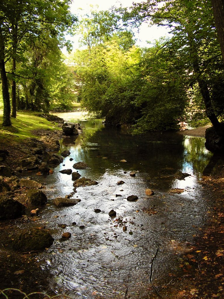 Photo : Parc des Eaux-noires