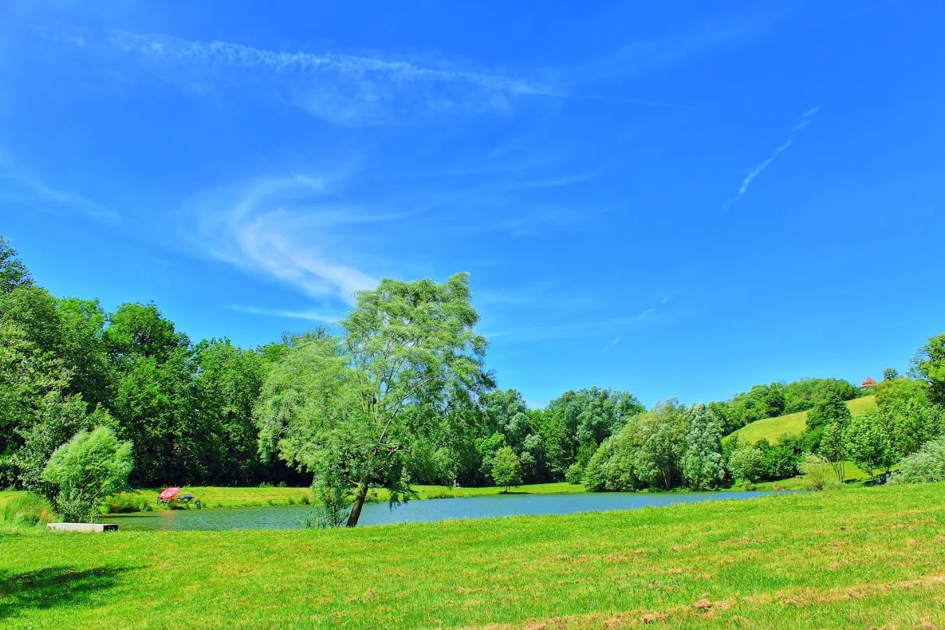 Photo : Etang de l'Aubépin et son parcours de santé