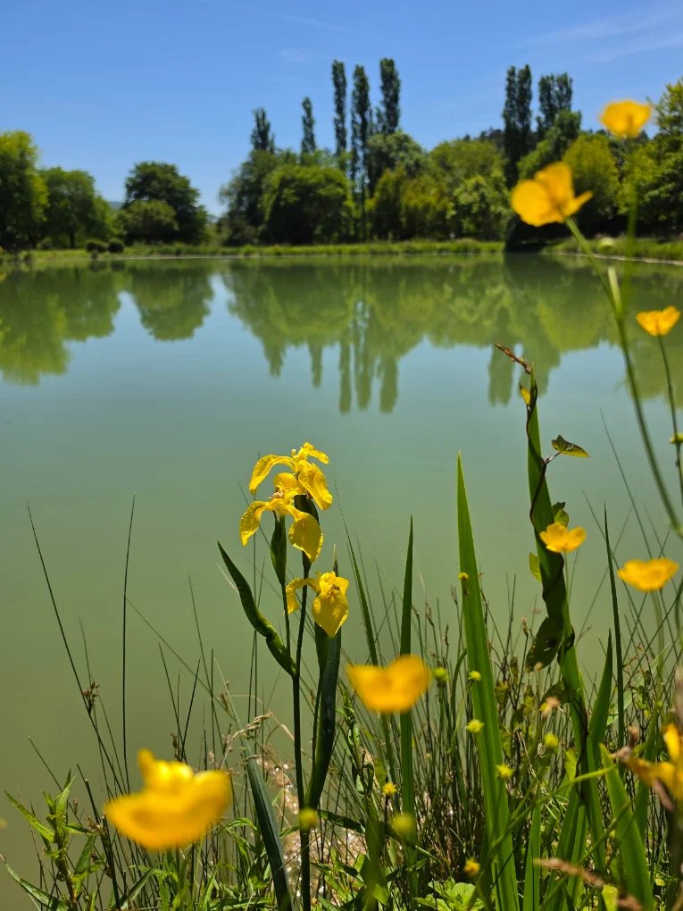 Photo : Plan d'eau du Grand Chevalet