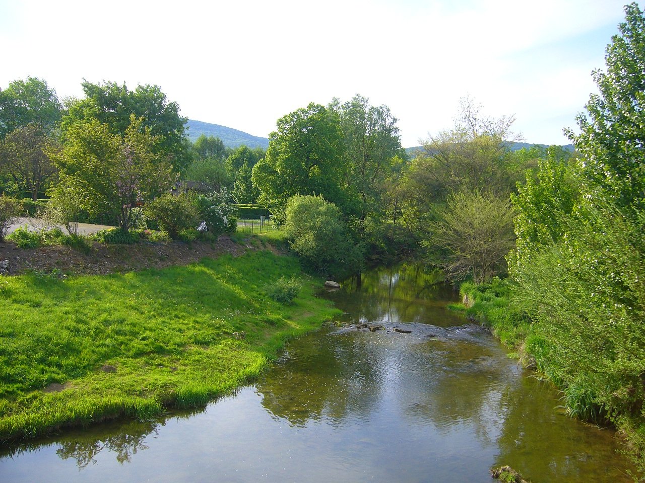 Photo : Le Suran