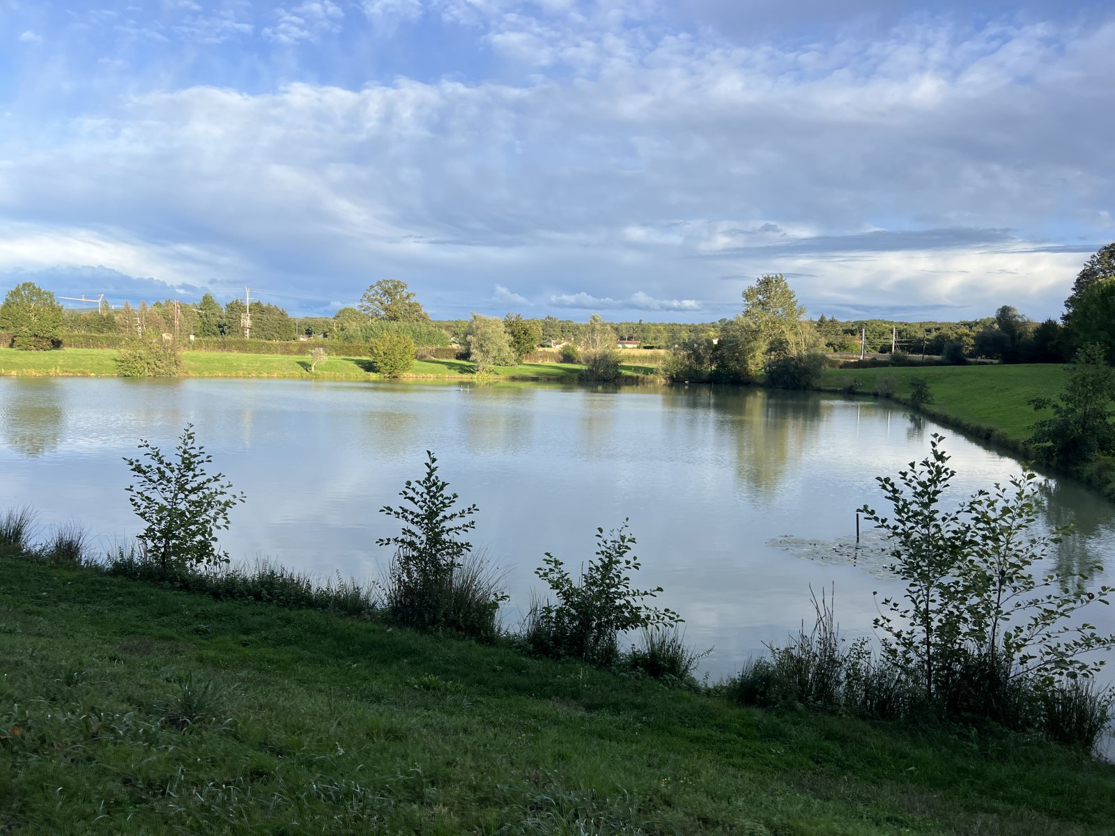 Photo : Etang des Carronnières