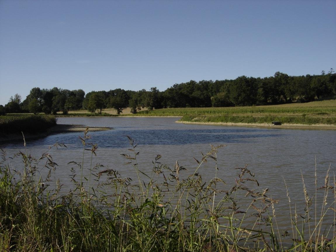 Photo : Plan d'eau de la Rousse du Vieux Jonc