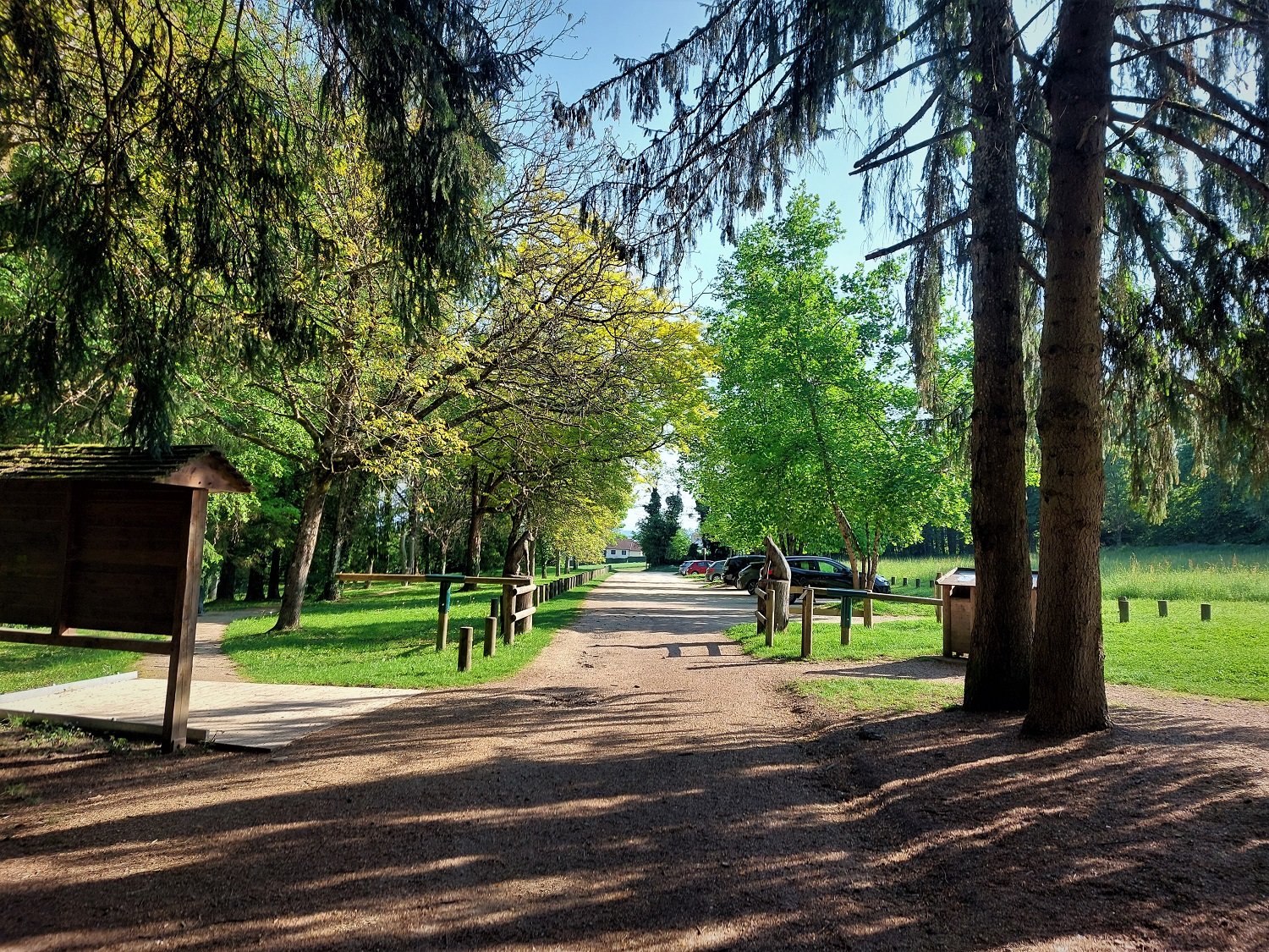 Photo : Forêt de Rothonne