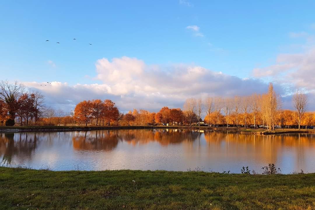 Photo : Plan d'eau du Cerisier