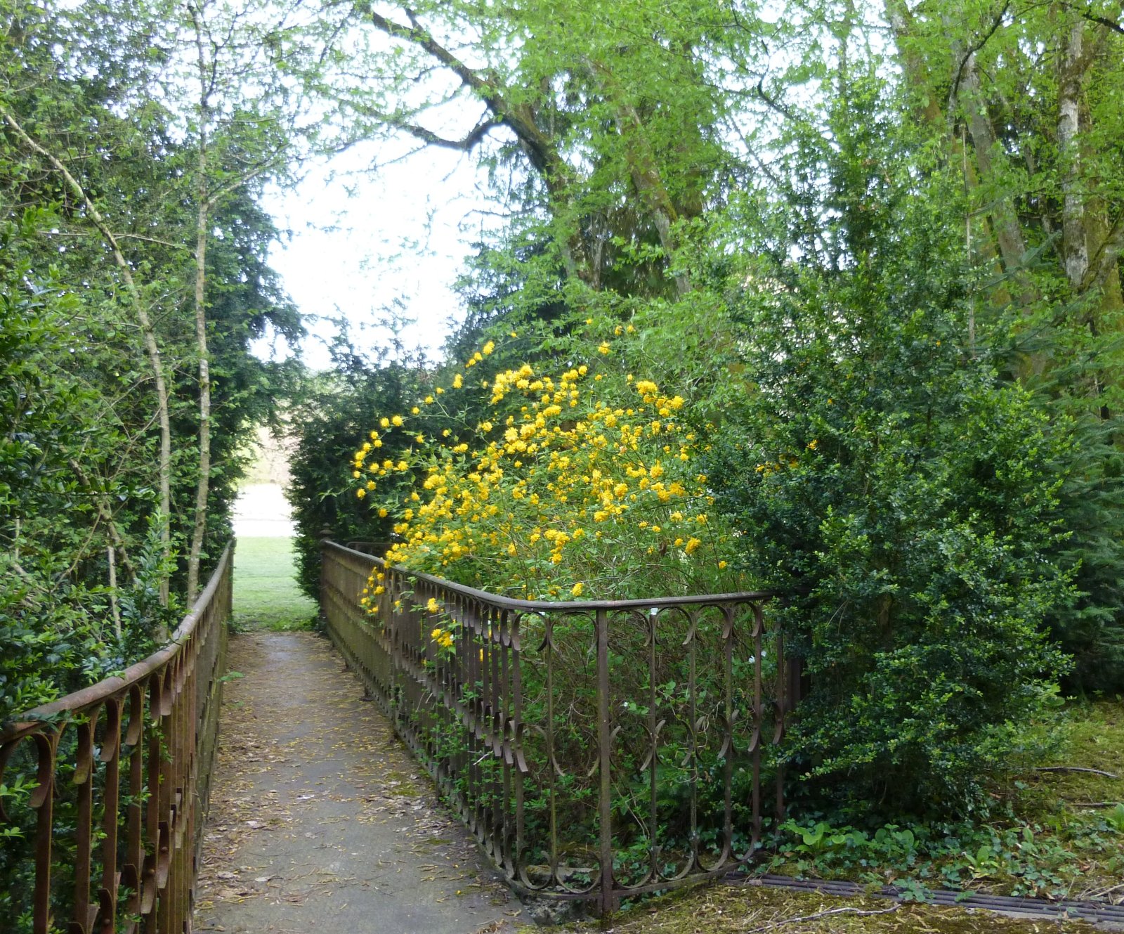 Photo : Parc Balland