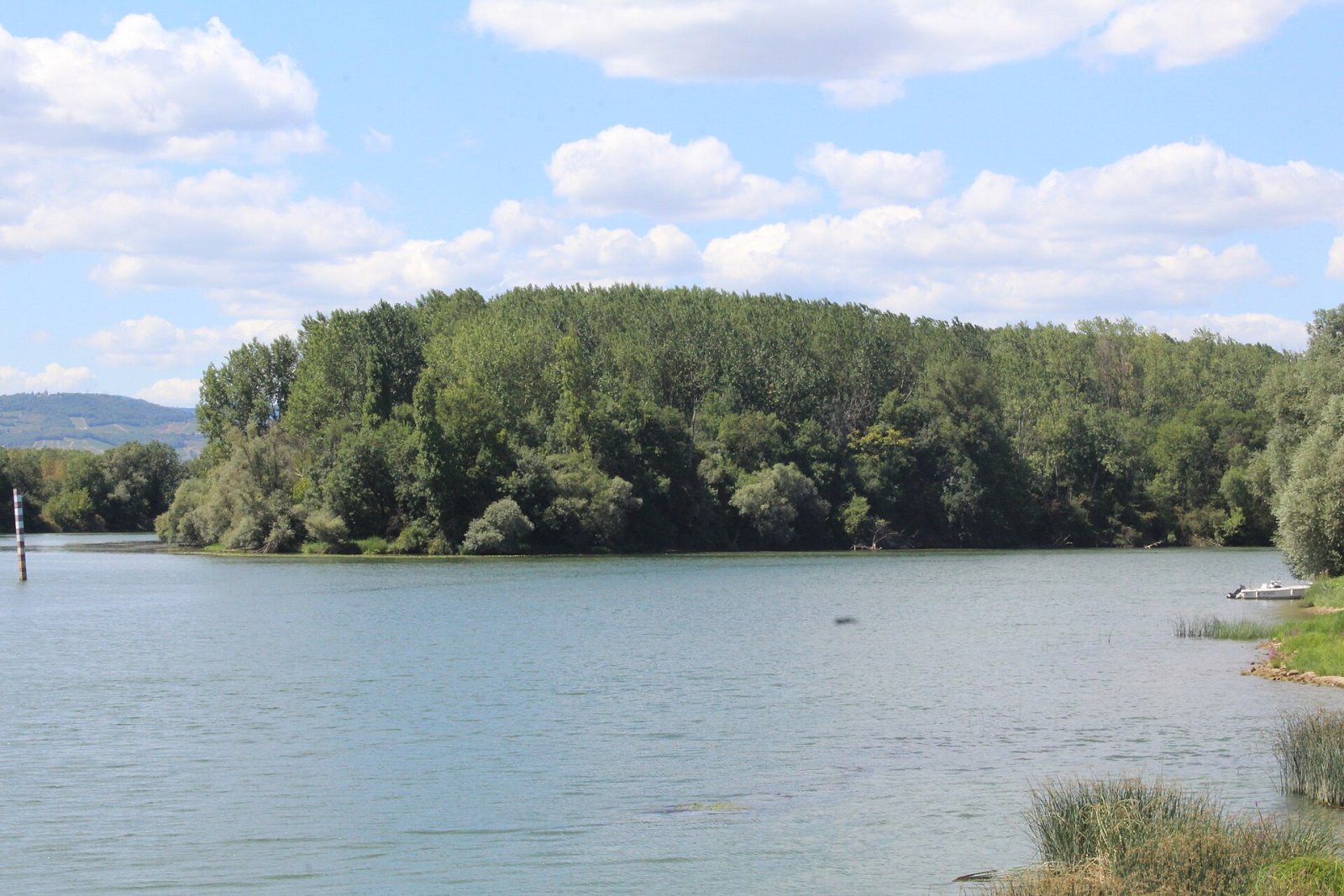 Photo : Île de Montmerle