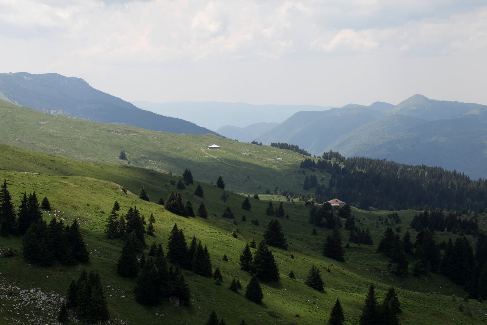 Photo : Réserve naturelle nationale de la Haute Chaîne du Jura